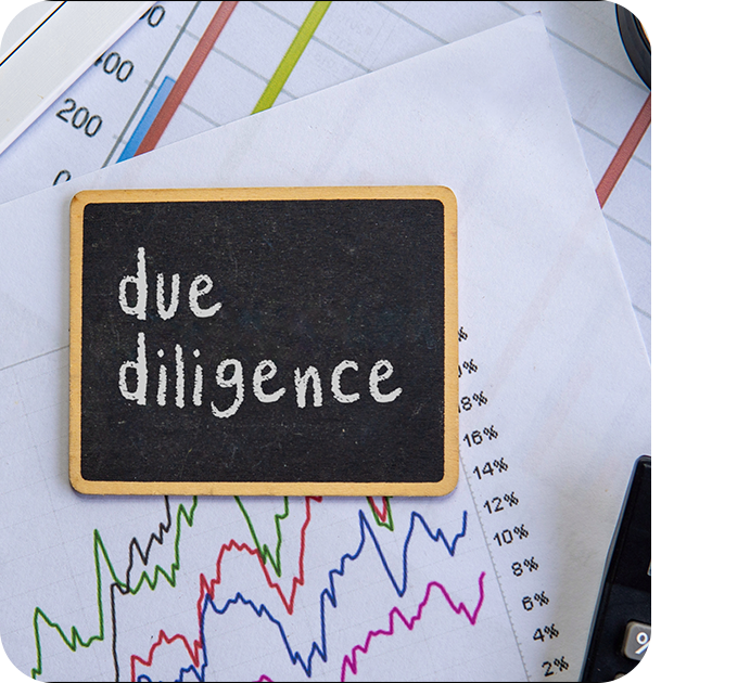 Due Diligence Services