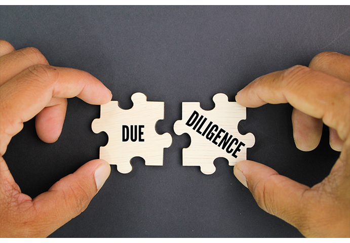 Due Diligence Service